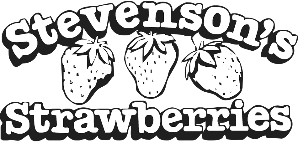 Stevenson's Strawberries Logo