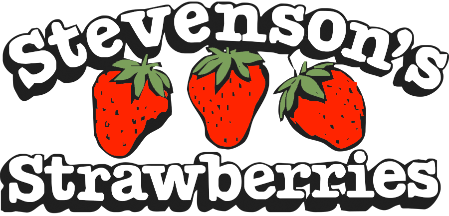 Stevenson Strawberry Farm